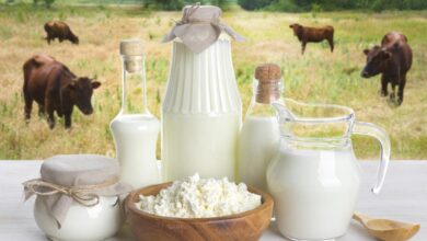 Chinese Etrepreneurs interested in investing in buffalo milk sector